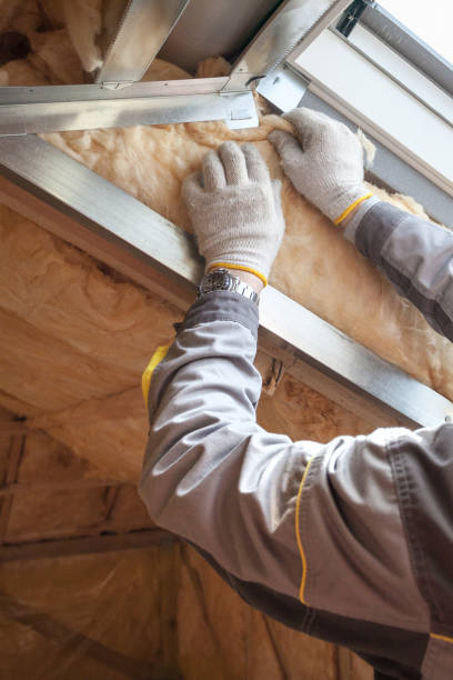 Types of Insulation We Offer in Pine Lawn, MO