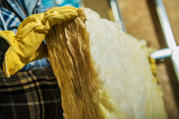 Best DIY Insulation Kits and Guidance in Pine Lawn, MO