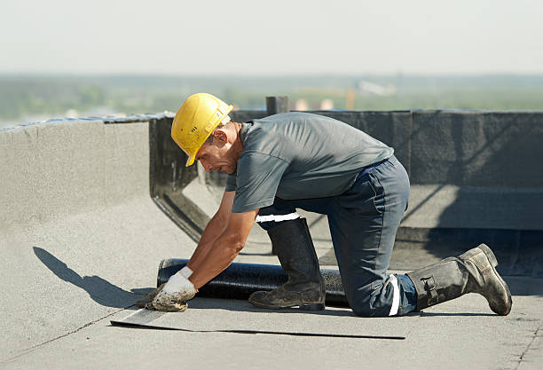 Best Residential Insulation in Pine Lawn, MO