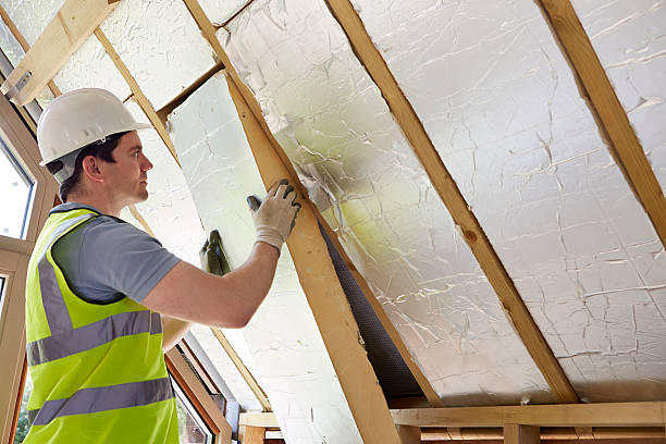 Best Specialized Insulation Services in Pine Lawn, MO