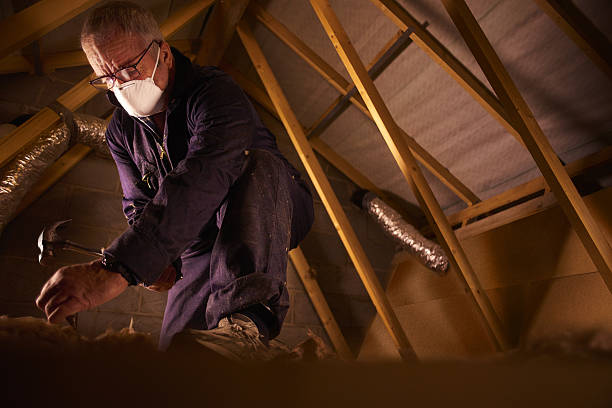 Best Energy Efficiency Insulation in Pine Lawn, MO