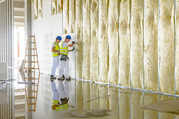 Best Commercial Insulation in Pine Lawn, MO